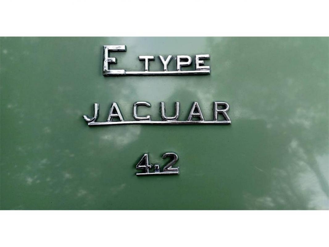 Annonce 399728251/SA_Jaguar_Type-E_Serie2_1969_Ve photo5