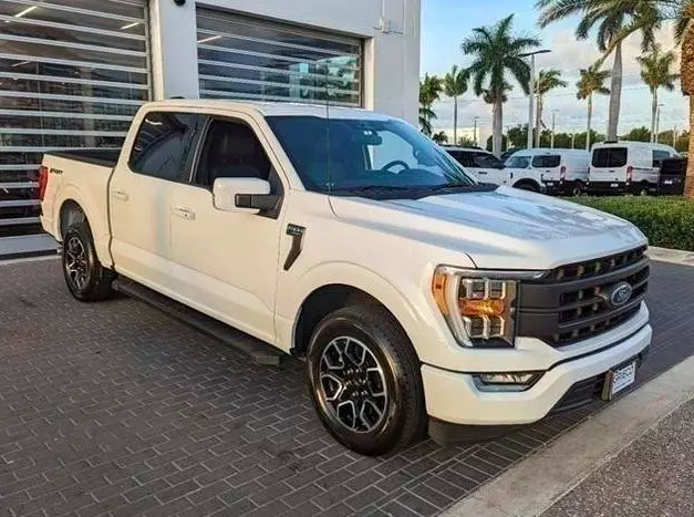Annonce 402499735/GRIE2022F150 photo1