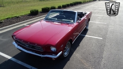 Ford Mustang Convertible cabriolet 302ci V8 1966... 31-Haute-Garonne
