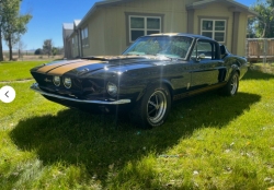 Ford Mustang FASTBACK GT 350 SYLC EXPORT 31-Haute-Garonne