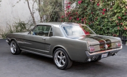 Annonce 402879487/Flo_66_F_MUSTANGGREY picto4