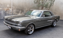 Annonce 402879487/Flo_66_F_MUSTANGGREY picto5