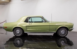 Annonce 403461241/Flo_68_FMUSTANGLIME picto2