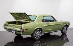 Annonce 403461241/Flo_68_FMUSTANGLIME picto4