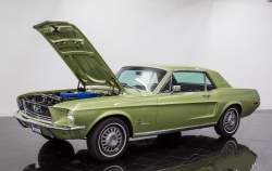 Annonce 403461241/Flo_68_FMUSTANGLIME picto5