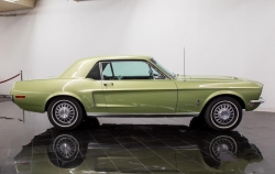 Annonce 403461241/Flo_68_FMUSTANGLIME picto7