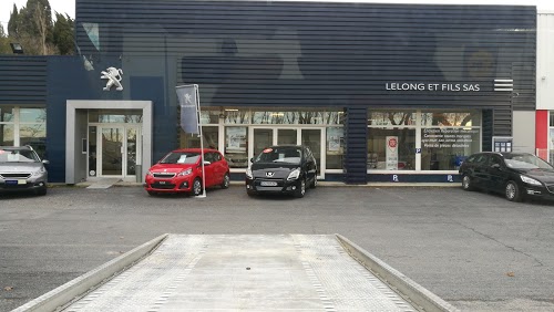 Peugeot Lelong (SAS) R