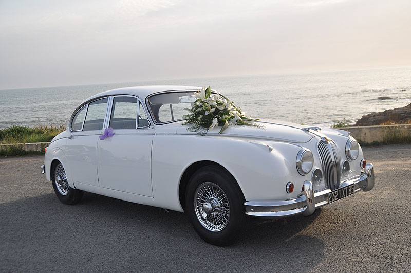 Annonce 319068521/211009-073834 photo4