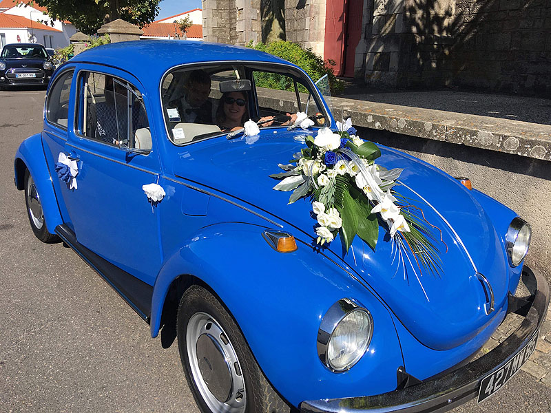 Annonce 319068521/211009-073834 photo5