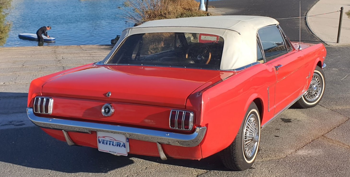 Annonce 366845400/EP20221107 photo5