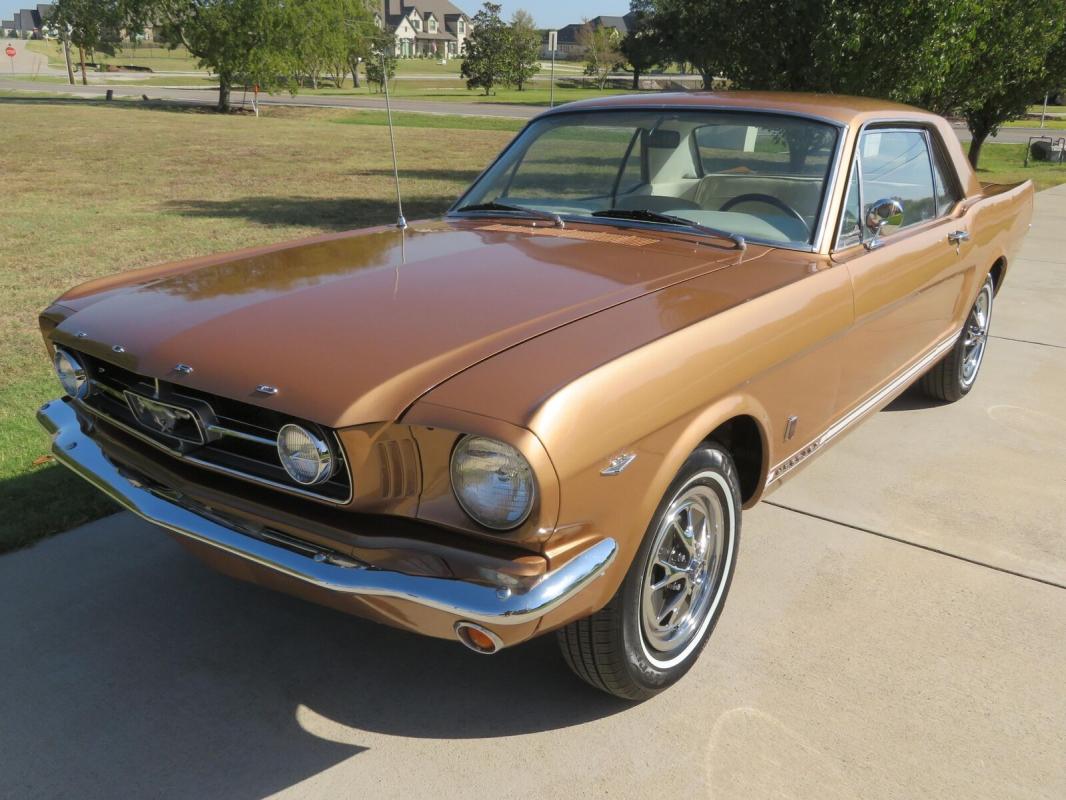 Annonce 444177476/65GCOL photo4