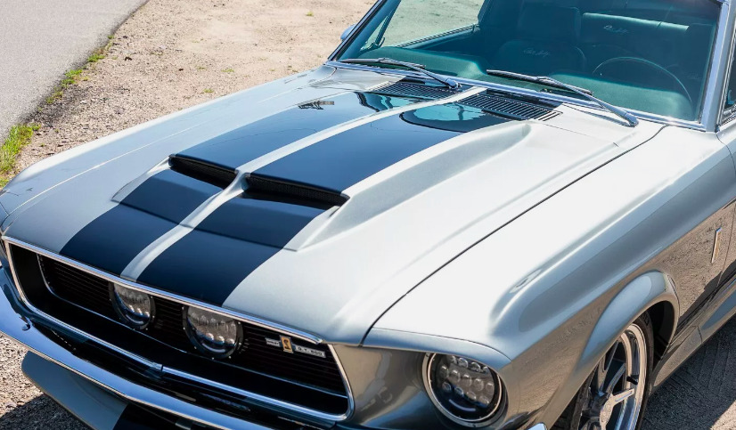 Annonce 446072585/67eleanor photo7