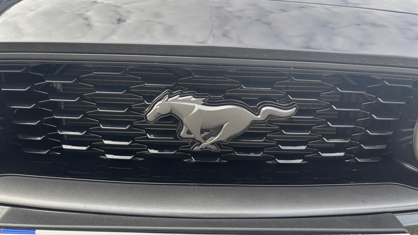 Annonce 454763648/edmytk4u_K photo4