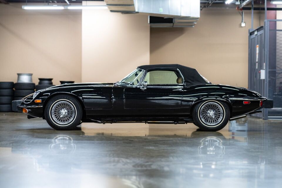 Annonce 460137656/ANT650225 photo4