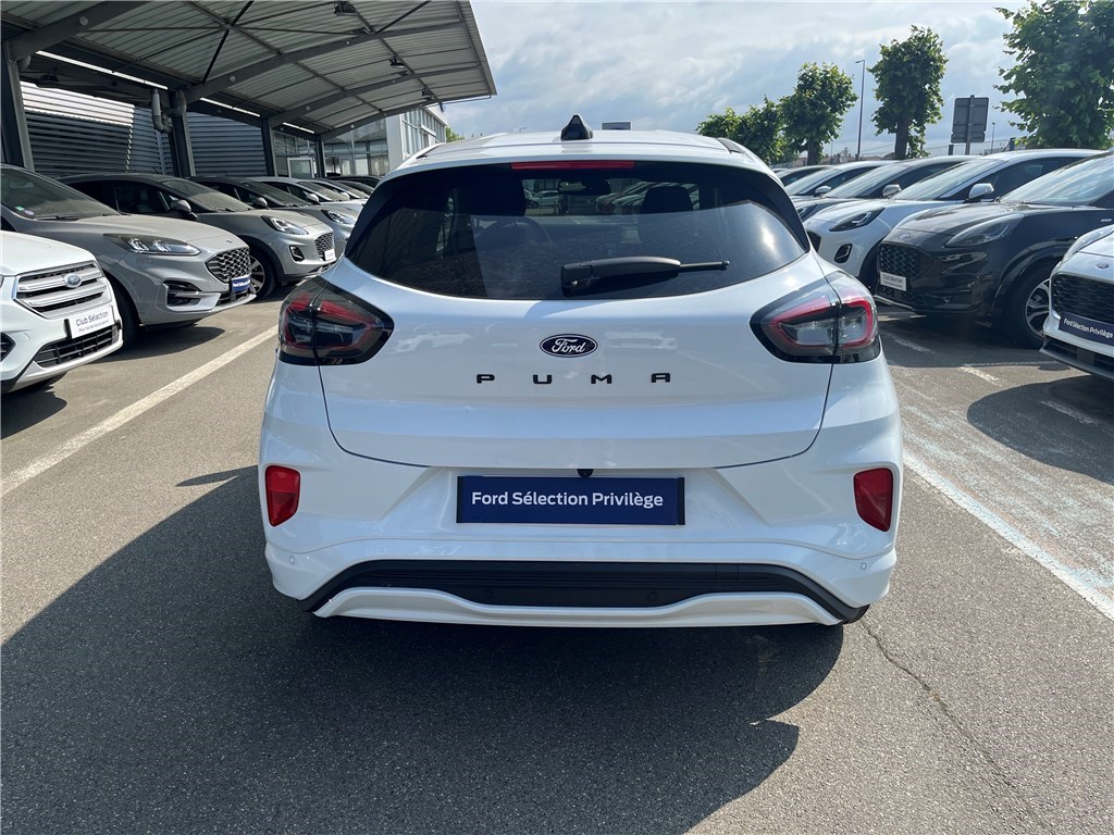 Annonce 473962979/14162 photo7