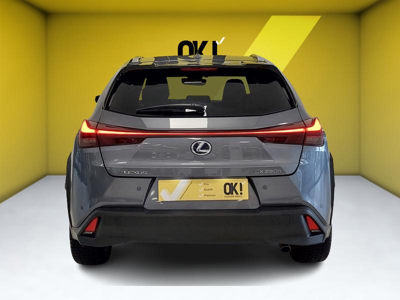 Annonce 475814177/S46V1080922I672298 photo4