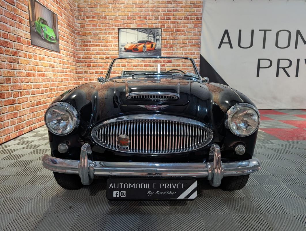Annonce 479709296/austinhealey-ba photo2