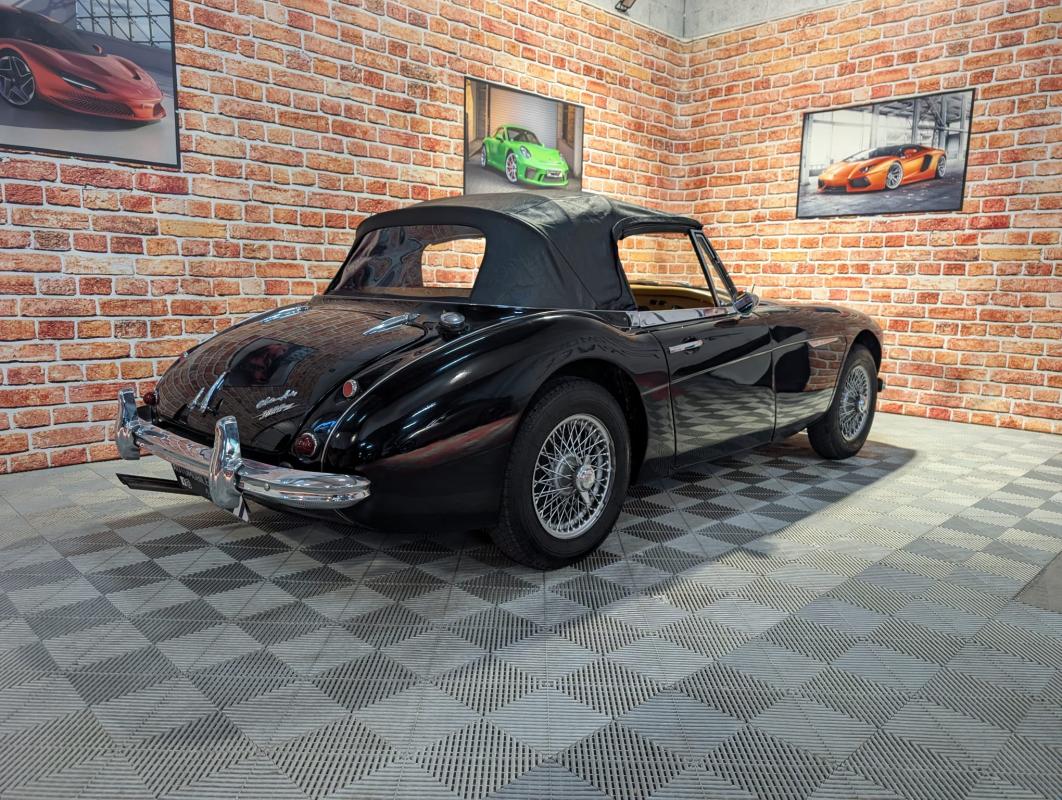 Annonce 479709296/austinhealey-ba photo3