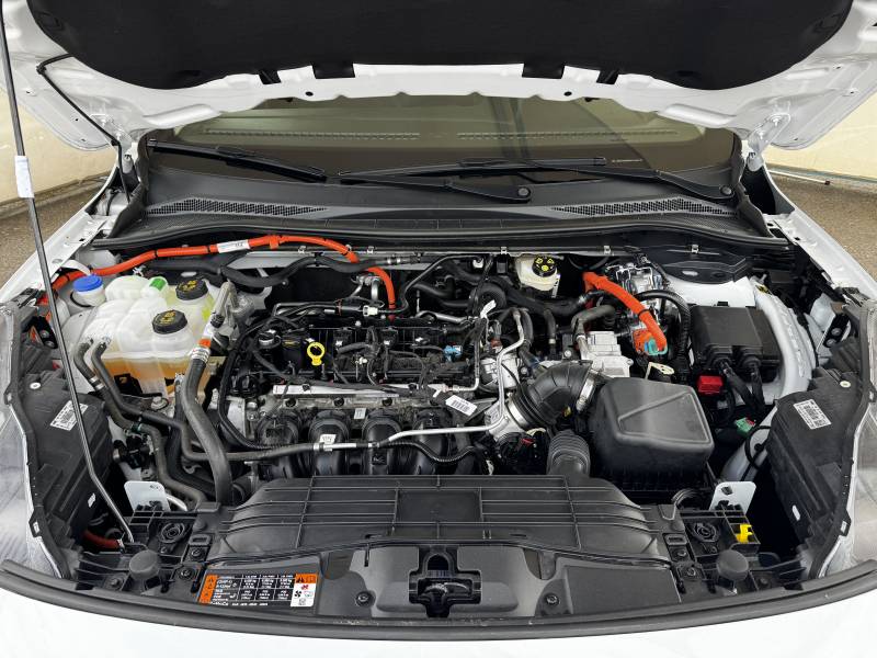 Annonce 480180518/385564 photo2