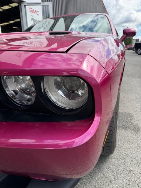 Annonce 480749819/250720-182256 photo5