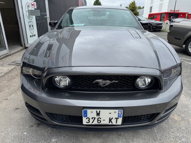 Annonce 480754739/250720-192950 photo2