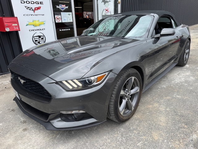 Annonce 480756362/250720-200551 photo4