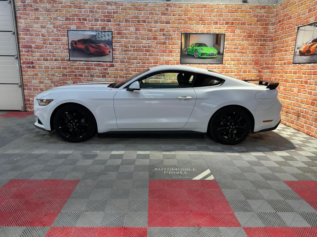 Annonce 482103104/mustangeco-ba photo3