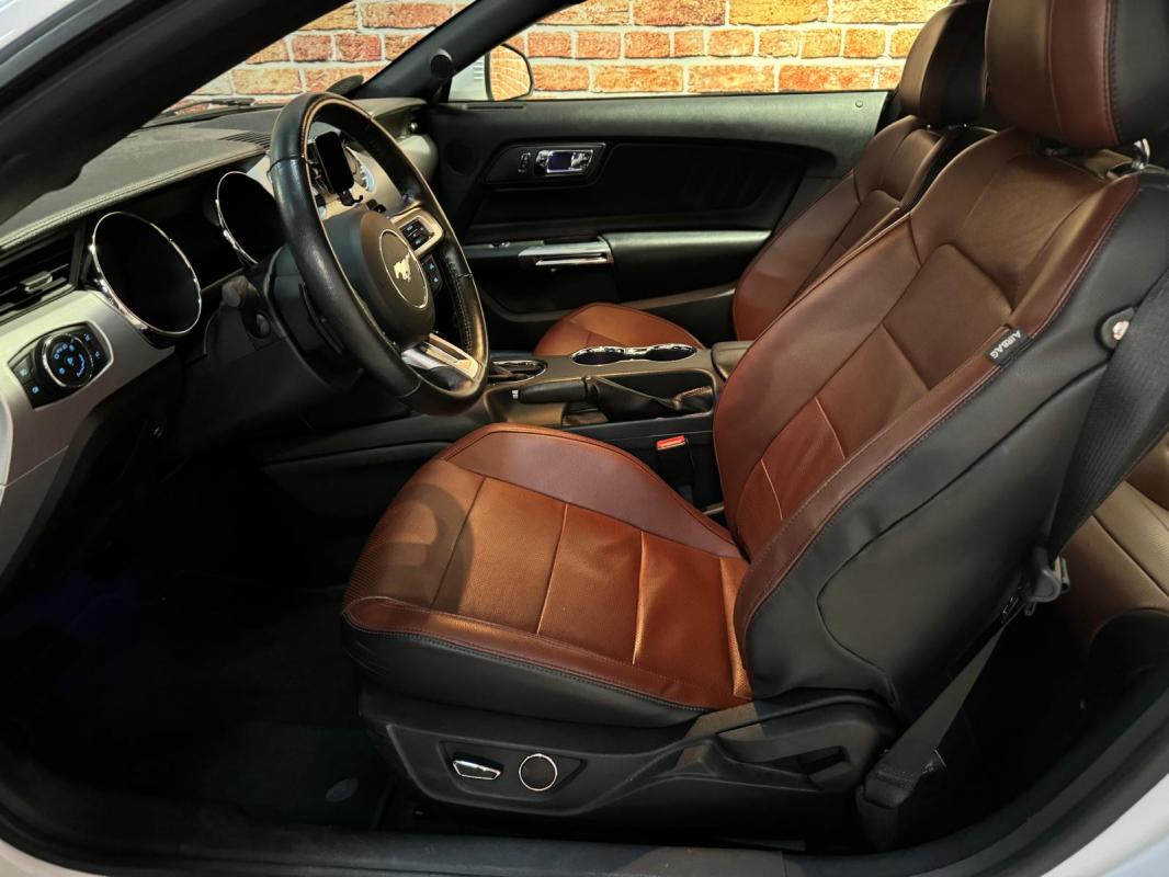 Annonce 482103104/mustangeco-ba photo6