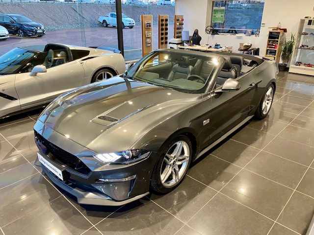 Annonce 483529292/250809-152503 photo4