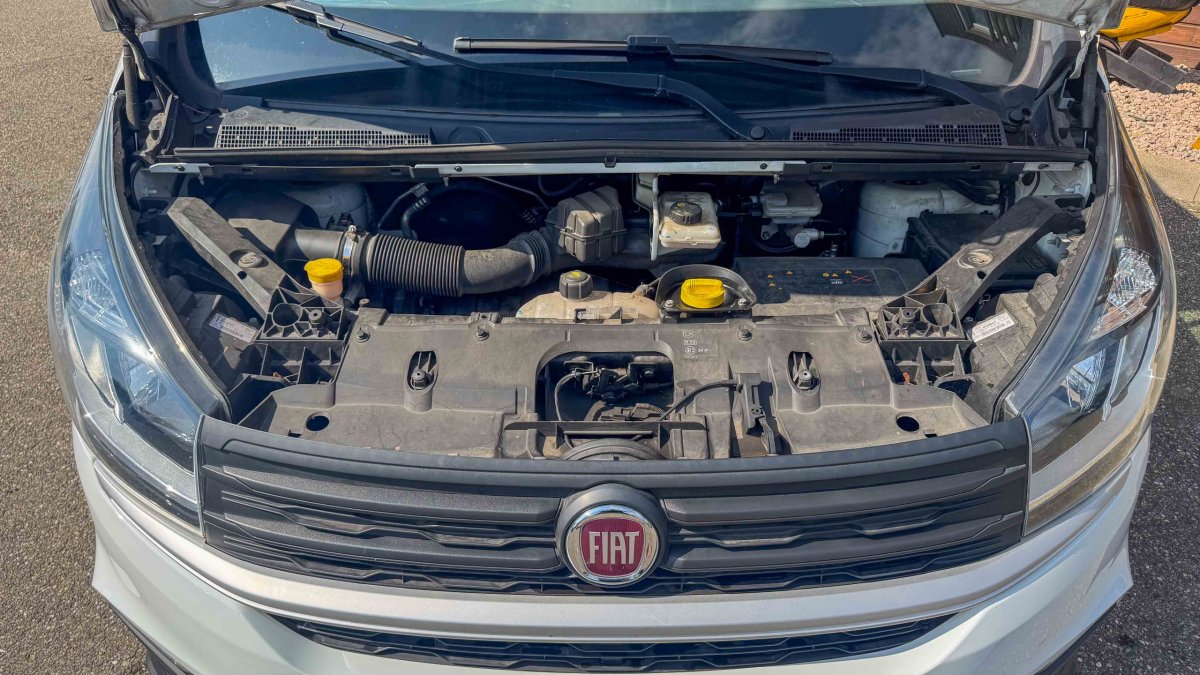 Annonce 485393531/1691 photo5