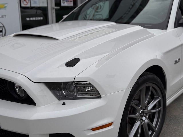 Annonce 488181221/250911-095953 photo3