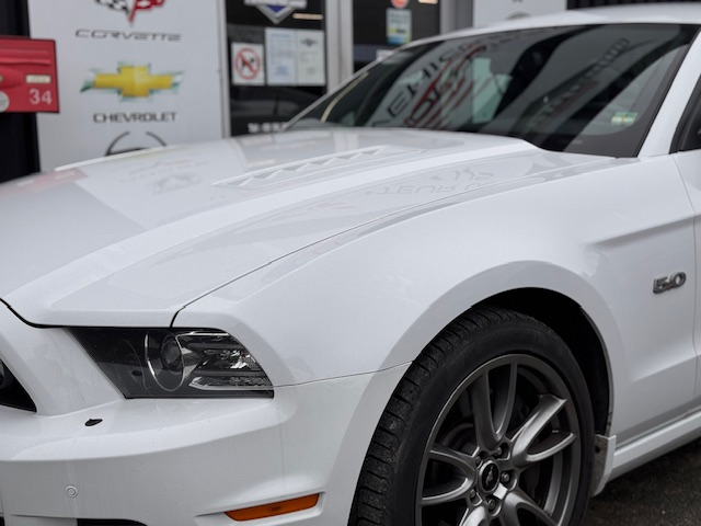 Annonce 488181815/250911-100513 photo3