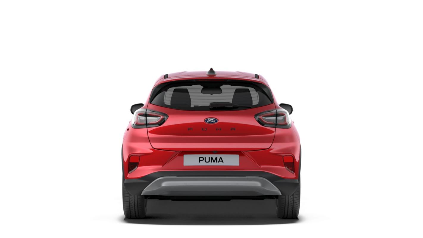 Annonce 488424284/1965591 photo2