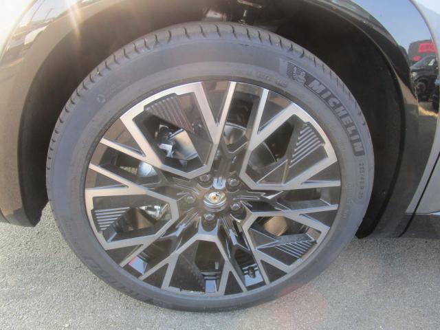 Annonce 489206960/1733125406 photo5