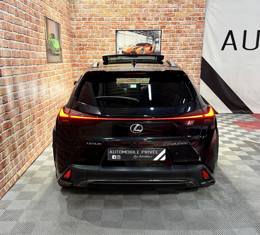 Annonce 489346199/LEXUSUX-TL photo6