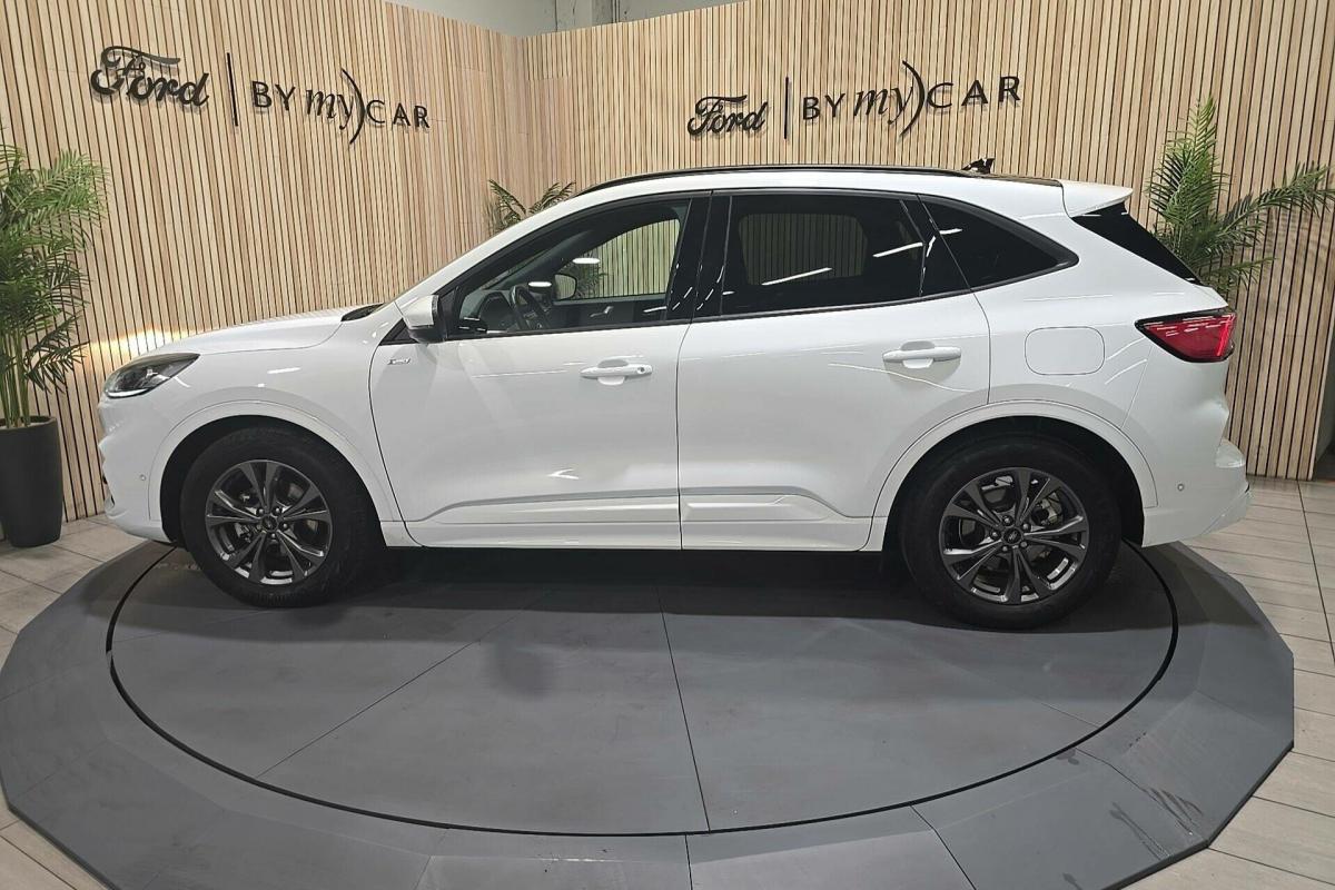 Annonce 489735524/1981576 photo2