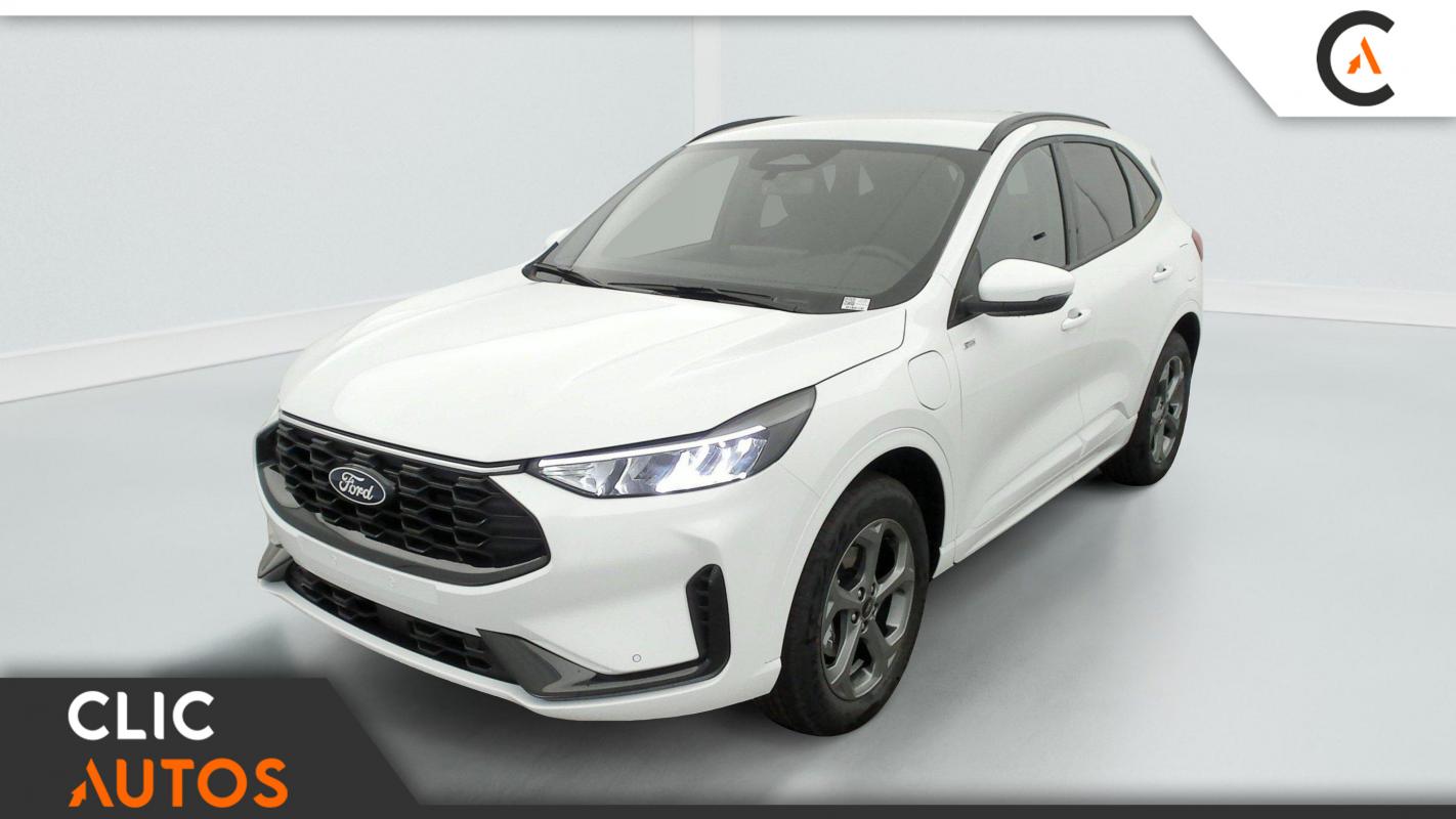 Annonce 490121573/C03_125020301 photo3