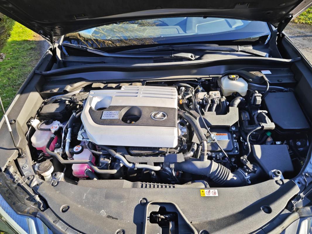 Annonce 490129571/250923-100552 photo2