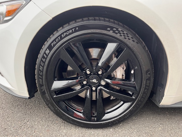 Annonce 490168229/943VO250651 photo3