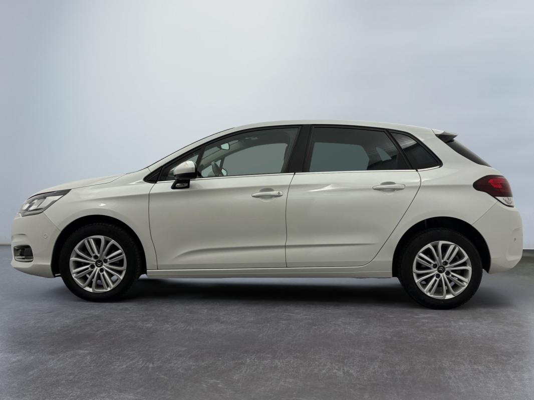 Annonce 490390883/11340864 photo2