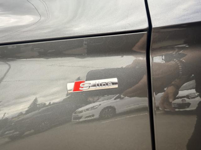 Annonce 490616270/1377495066 photo5