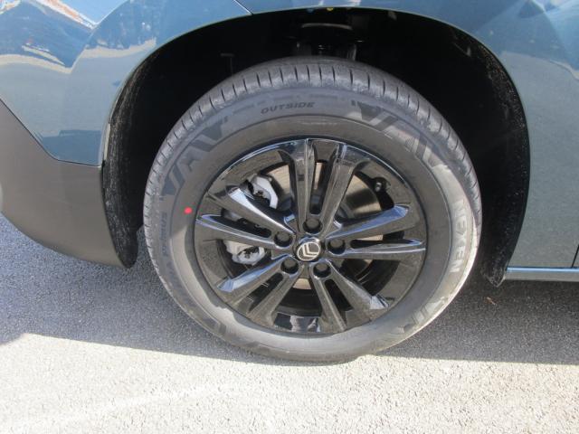 Annonce 490617185/1068914324 photo4