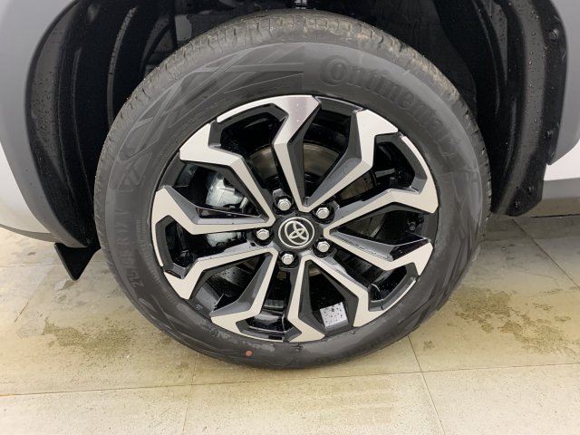 Annonce 490828646/1167658462 photo2