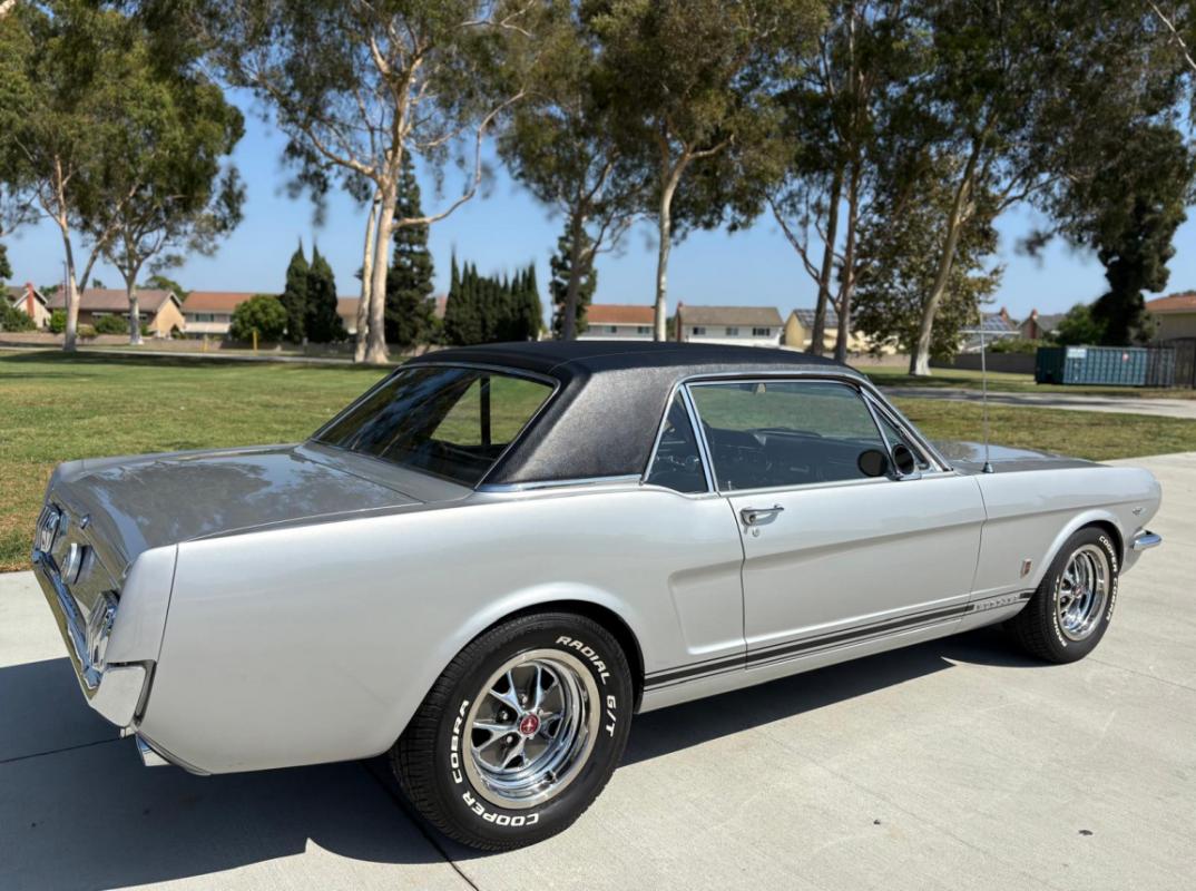 Annonce 490989395/943VT250446 photo2