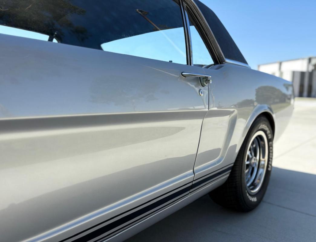 Annonce 490989395/943VT250446 photo5