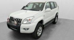 Annonce 337443753/2096202429 picto3