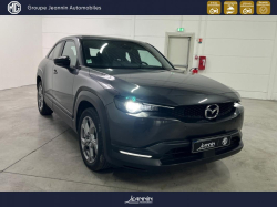 Annonce 413699999/52071 picto7