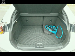 Annonce 422278477/2445 picto5