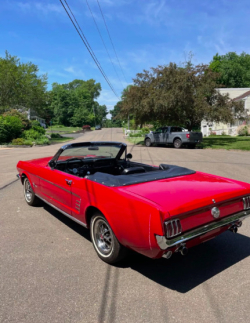 Annonce 426396424/1966MUSREDEB picto3