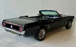 Annonce 432076139/66CABTRIPLEB picto4